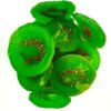 Dry Kiwi Fruit Delicious Tasty-Dehydrated Fruits Rich in Vitamins Healthy & Nutrient Rich Dry Fruit 250g